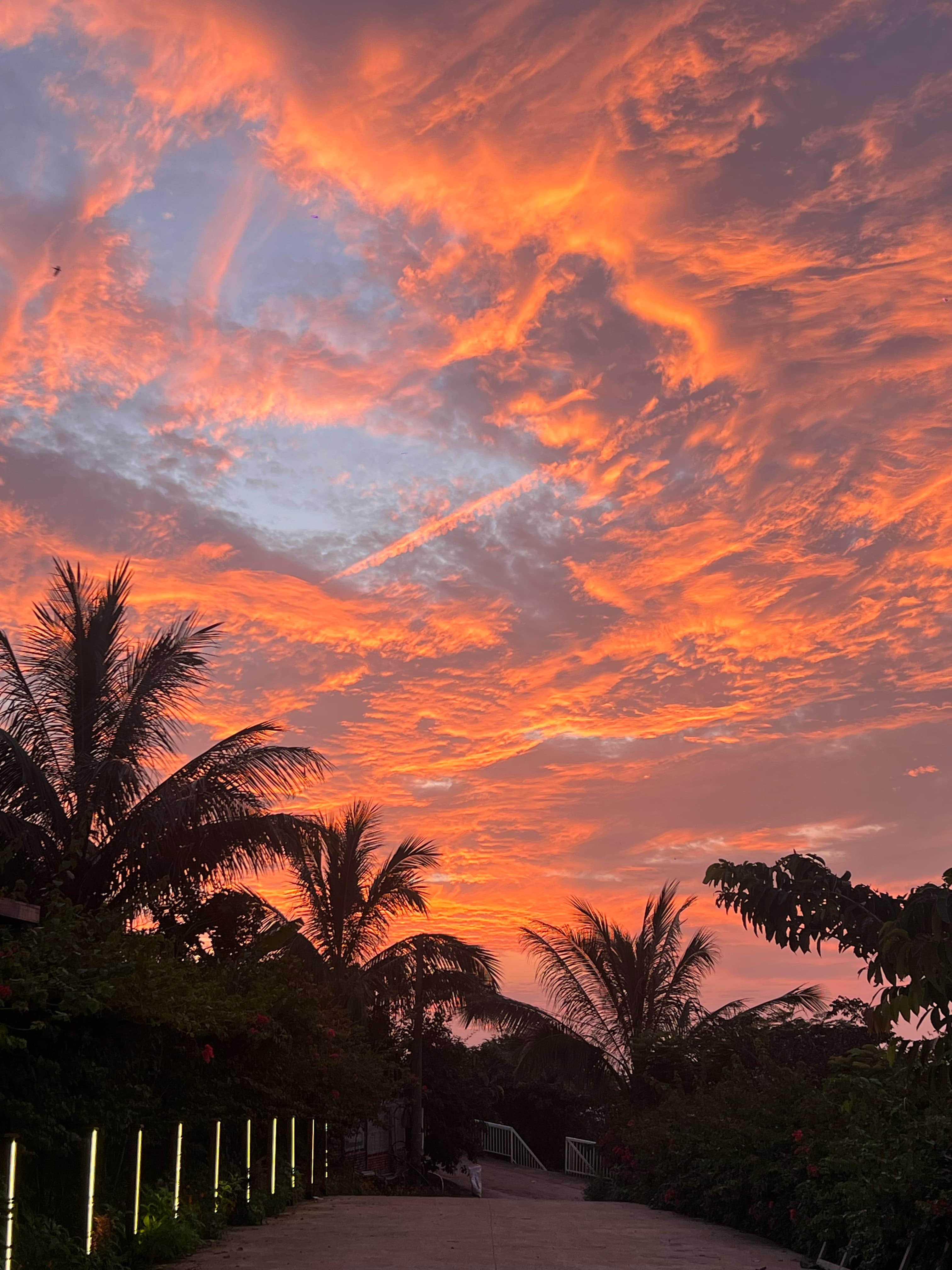Bầu trời hoàng hôn rực cam nhìn từ Horizon